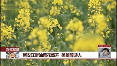 每日新闻报 研究生教育更严格规范，完不成学业被退学