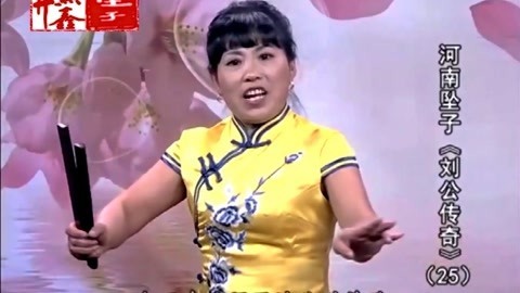 河南坠子 坠子《刘公传奇》胡银花