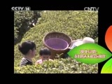 新闻袋袋裤 《新闻袋袋裤》 20150420