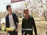 生财有道 《生财有道》 20180501 乡村振兴中国行：走进河北深州