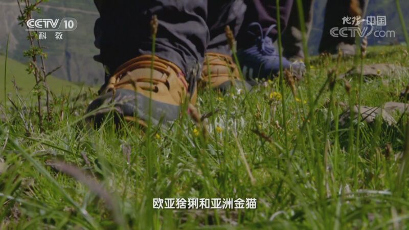 地理中国 《地理·中国》 20200926 秘境栖息地·神奇“波浪线”