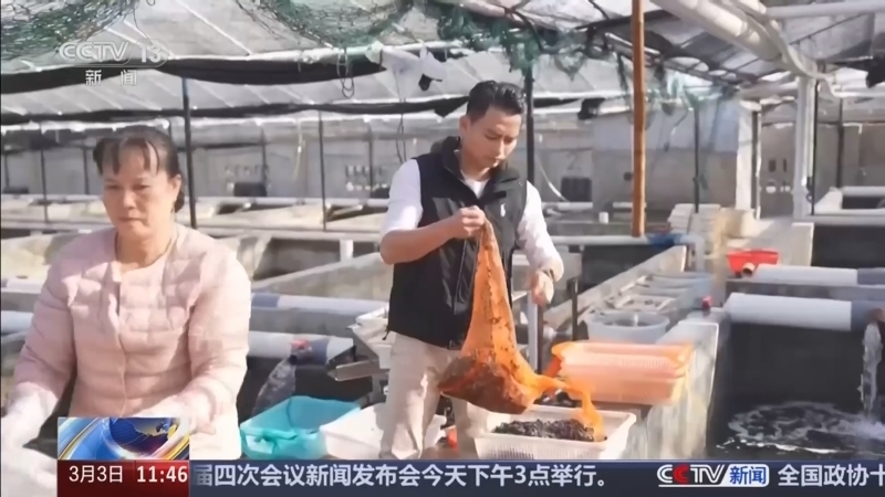 《新闻直播间》 20260303 11:00