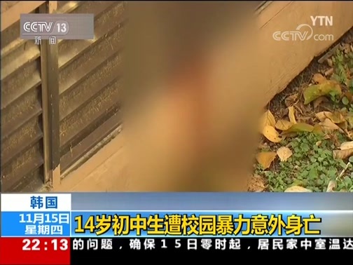 国际时讯 《国际时讯》 20181115