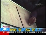 新闻1+1 《新闻1+1》 20180212 农村的“赌”，怎么“疏”？