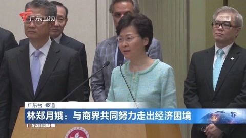 林郑月娥:与商界共同努力走出经济困境