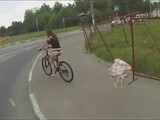 奇趣视界