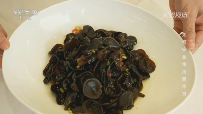 实验现场 《实验现场》 20260724 如何安全食用黑木耳