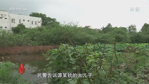 道德观察 《道德观察(日播版)》 20200805 逃亡11年