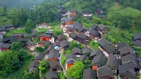 与梦想合拍 贵州梦想领头人的致富之路