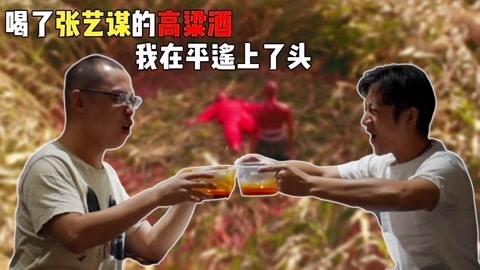 菊长带你见世面 平遥电影展VLOG