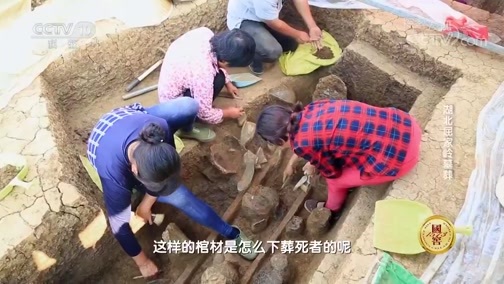 探索发现 《探索发现》 20181012 2018考古进行时 第三季 湖北屈家岭墓葬
