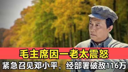 史记文学社第三季 伟人因一老太震怒，访苏回国后紧急召见邓小平经部署破敌116万