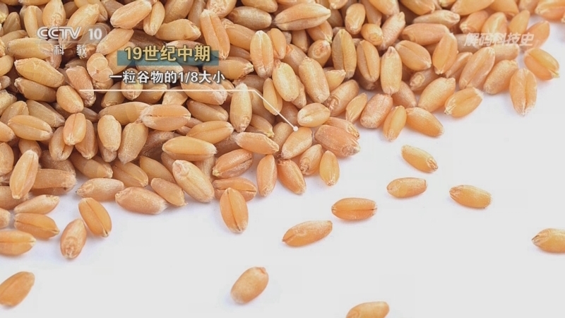 解码科技史 《解码科技史》 20230926 危险的元素——磷