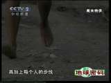 地球密码（周末精编节目） 周末精编节目 2010年 第211期 2-2