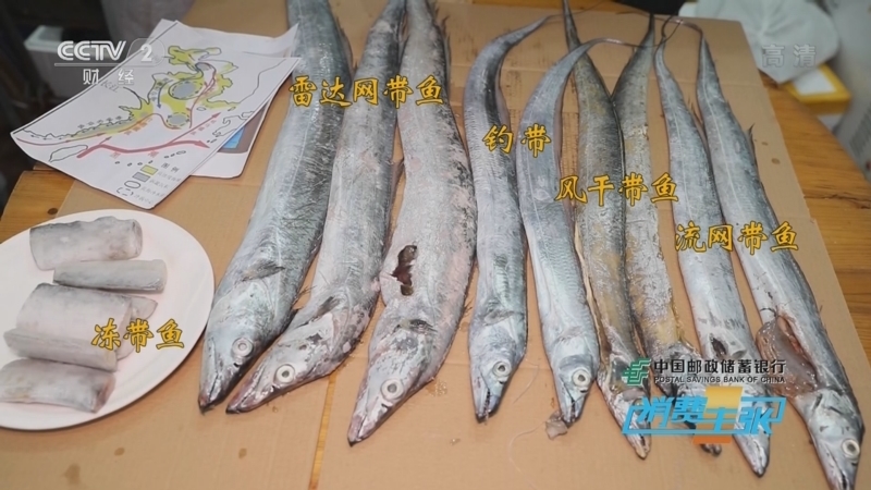 消费主张 《消费主张》 20221121 丰收的海洋（一）：东海渔场