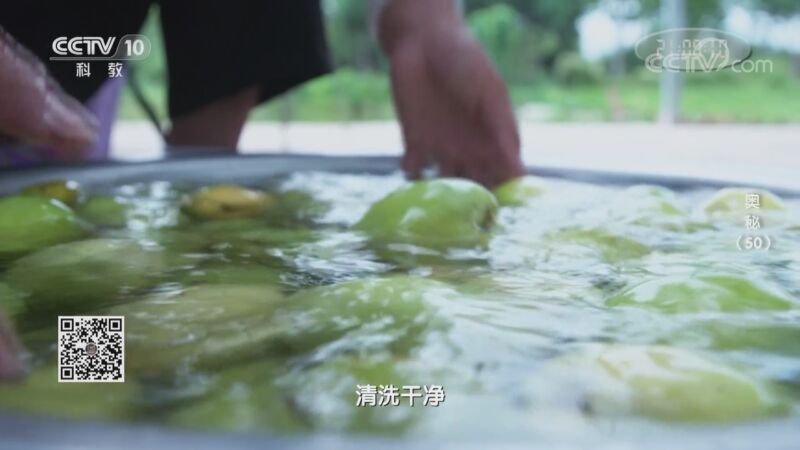 奥秘 《奥秘》 20200925 （50）