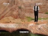 地理中国 《地理中国》 20160110 “土”有奇表