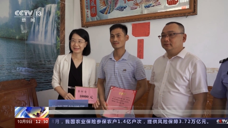 法治在线 《法治在线》 20231009