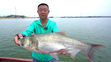 第6集：重游巴河故地，一叶扁舟河中爆鲢