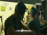 走近科学 《走近科学》 20160510 复苏的胚胎