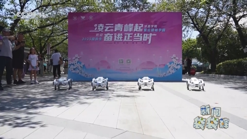 新闻袋袋裤 《新闻袋袋裤》 20250902