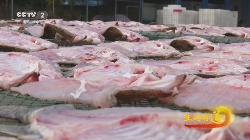 《生财有道》 20260305 新春风物财：摇曳风干鱼 千年鱼面香