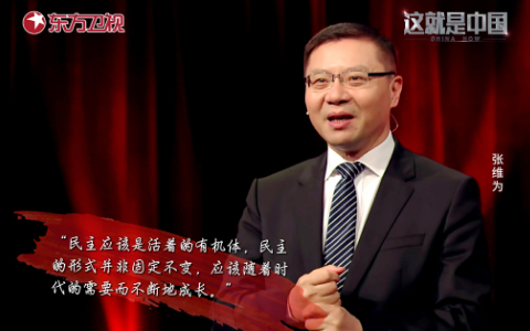 这就是中国 好民主才是人民之福