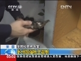 新闻直播间 《新闻直播间》 20121221 03：00