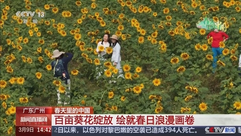 《新闻直播间》 20260309 14:00