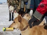 消费主张 《消费主张》 20180201 家乡的年味儿：黑龙江齐齐哈尔