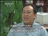 焦点访谈 《焦点访谈》 20130807 垄断：乳粉价高的推手/不守规矩的代价