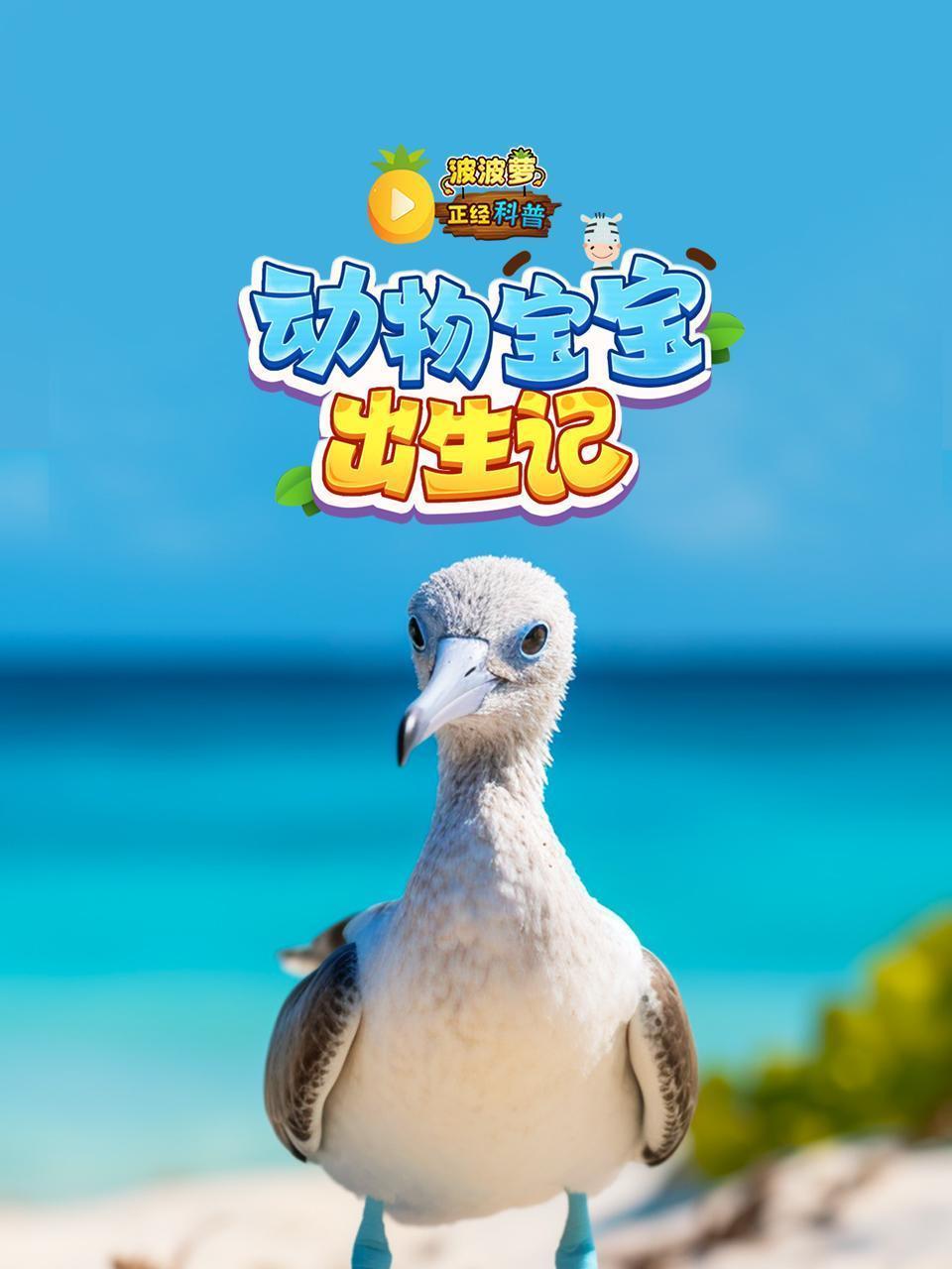 波波萝正经科普：动物宝宝出生记