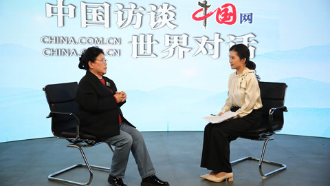 中国访谈 中央经济工作会议解读
