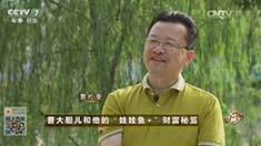 致富经 [致富经]曹大胆儿和他的“娃娃鱼+”财富秘笈 20161020