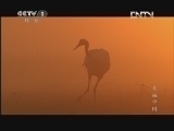 魅力纪录（CCTV-1综合频道） 《魅力纪录》 20120618 美丽中国