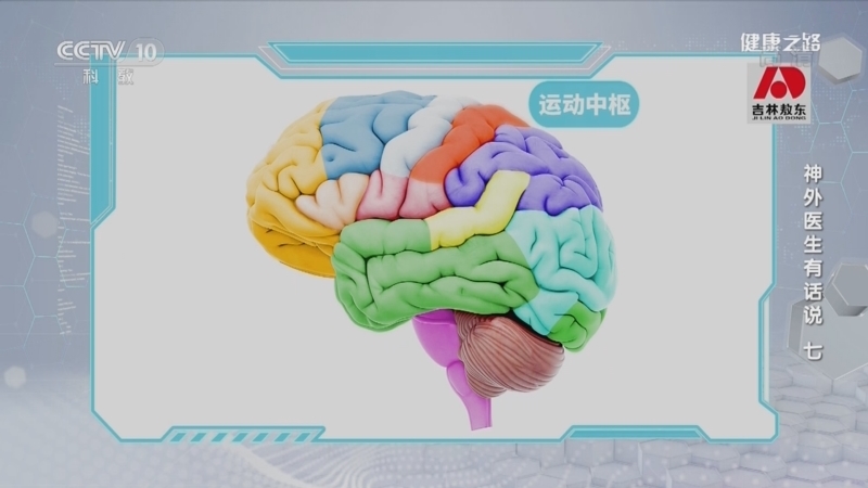 健康之路 《健康之路》 20221030 神外医生有话说（七）