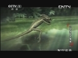 动物世界 《动物世界》 20131110 动物技能大揭秘（一）