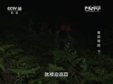 地理中国 《地理中国》 20160526 普底奇洞（下）