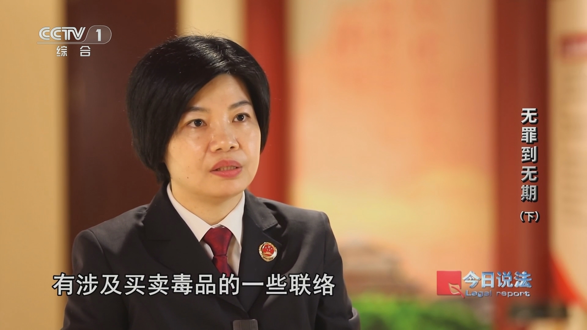 今日说法 《今日说法》 20240606 无罪到无期（下）