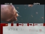 《自然传奇》 20120425 水下恶魔（三）
