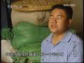 今日说法 一肾两命