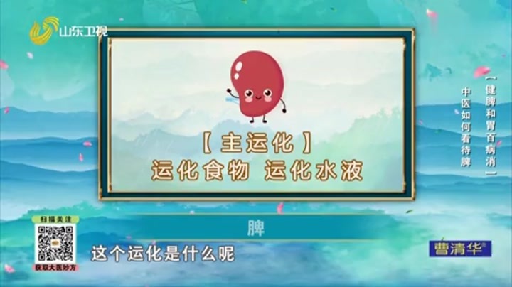 大医本草堂 健脾和胃百病消