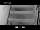 天网 天台上的抉择