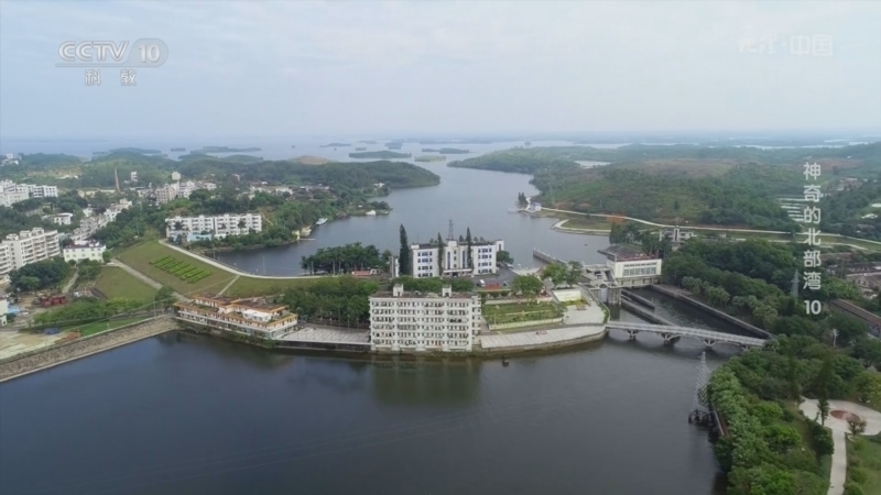 地理中国 《地理·中国》 20240320 神奇的北部湾 10