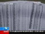 24小时 24小时 2009-10-11