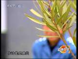 道德观察 模范妈妈蹲监狱