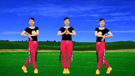 新歌，新舞《问佛》DJ版，句句走心，演唱：祁隆