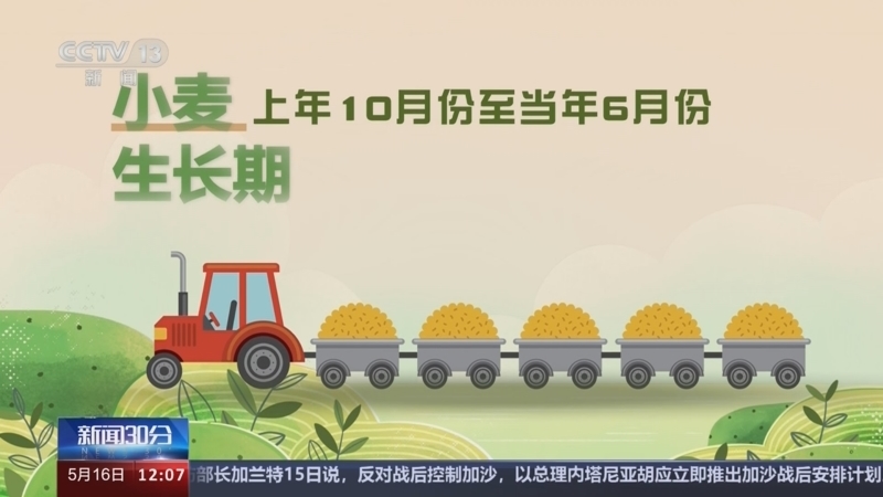 新闻30分 《新闻30分》 20240516