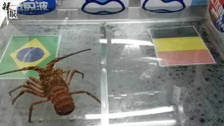 足球大虾瞎操心 足球大虾瞎操心预测巴西VS比利时