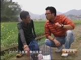 生财有道 《生财有道》 20130529 最棒的“猪倌”爸爸
